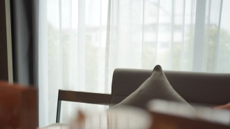 保利酒店，为何“挂科”？