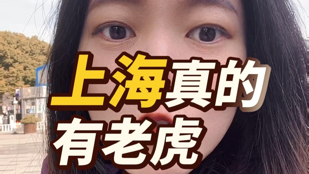 上海真的有老虎不在動物園?