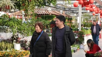 新春走基層丨花卉市場生意旺，新春花潮涌京城