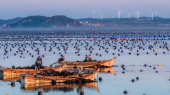 海景不輸青島，好吃堪比三亞，山東這座海濱小城，平價海鮮吃到飽