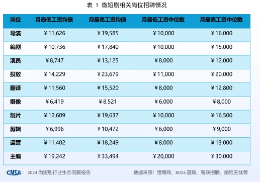 十大关键词，深度解析微短剧这一年