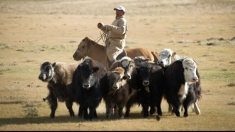 全球智点·全球发展倡议丨亚洲开发银行建议蒙古强化气候适应力