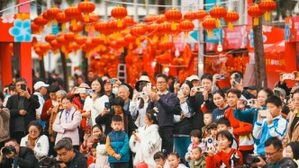 近期必打卡！深圳海邊的花市→