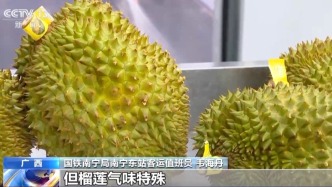 榴蓮能帶不能吃，煙、酒攜帶有限制！你準備的年貨是否能帶上車？快來了解一下！