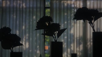 2025年，15家旅企“嗷嗷”等待上市…