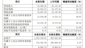 國泰君安：2024年收入增長兩成，總資產(chǎn)同比增長13.17%