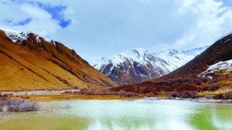 【历史文化】“鹧鸪山”地名的前世今生‖阿穆楚 