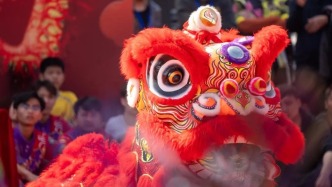 都是“真功夫”！肇庆这场舞狮太太太太震撼了！