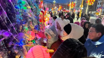 鶴崗市興安區開展“賞花燈、猜燈謎，歡聲笑語鬧元宵”暨第二期“祥蛇獻瑞，福滿興安”文化活動
