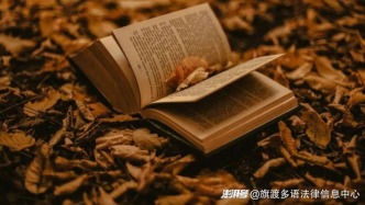 人工翻譯vs機器翻譯：為何文化適配是出海成敗關鍵？