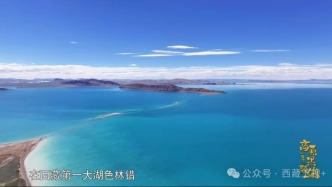 藏北草原上的“大幼兒園”