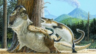 中國一組化石顛覆認(rèn)知：哺乳動物也能捕食恐龍！
