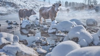 今年春节营销，这个品牌玩法进阶了