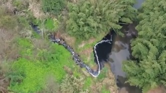“河水像墨”直流長江？官方回應(yīng)：基本屬實(shí)！