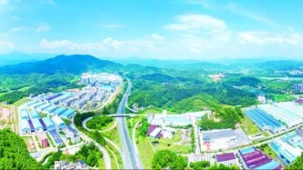 廣寧縣：“竹經濟+綠引擎”跑出山區縣發展加速度