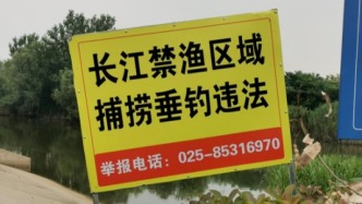五年成效初顯！再回顧長江十年禁漁開端：漁民全部上岸，然后呢？