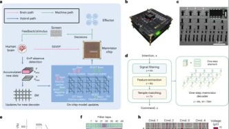 Nat. Electron | 革命性腦機接口：憶阻器驅動的自適應解碼器開啟低能耗、高精度交互新篇章