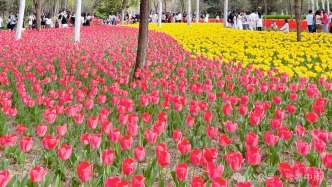 友好城市推薦|提前收藏！鄭州2025賞春十大好去處
