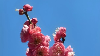 花“花”世界