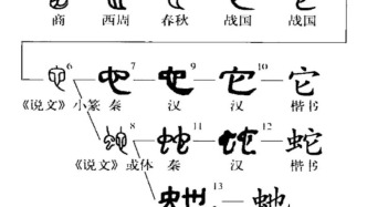 【历史文化】生肖之“蛇”：从古至今的图腾文化‖黄伟 