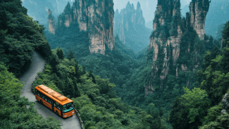 被罵上熱搜的高價擺渡車，為什么景區誓死不改？