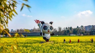 報名圓滿結束！ | 2025崇州半程馬拉松賽事期間還有更多豐富配套活動，戳我搶先看→