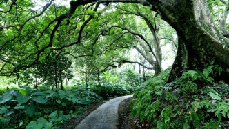 春日宝藏好去处+2！肇庆两地入选省级精品路线！