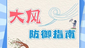 大風天氣，這份安全防御指南請查收！