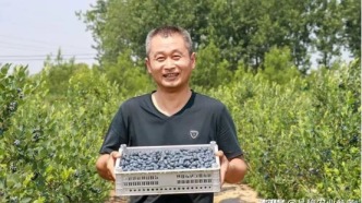 頭雁故事集錦（四）：每一個故事都是品牌的聲音
