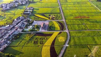 四川省農村致富帶頭人 崇州+2