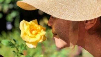 春季如何擺脫過敏性鼻炎的煩惱？