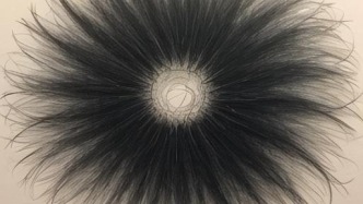 瘋狂減肥換來的是“隨風消逝”的頭頂？