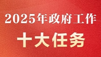 2025年政府工作十大任務
