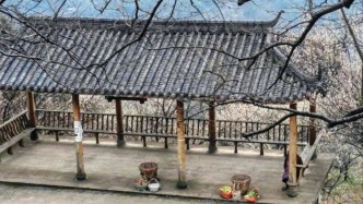 【美丽四川】大邑大坪村，绝美花海，等你来‖柳红樱 