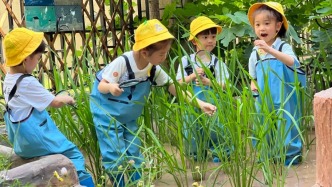 家長(zhǎng)注意！沙坪壩區(qū)2025年幼兒園招生工作通告來(lái)了