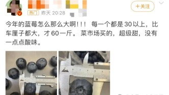 價格大跳水！網(wǎng)友：可以敞開吃了