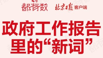政府工作報告里的“新詞”，如何影響未來？