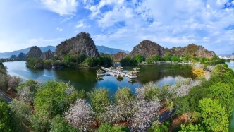 全民参与！肇庆“文明随手拍”上线，这些行为可反映→