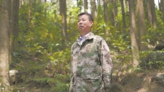 三十余載當(dāng)好綠美務(wù)林人！傾情守護(hù)三岳這片綠色生態(tài)寶藏
