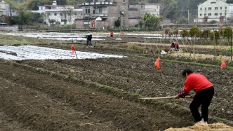 最近，村民們又忙起來(lái)了