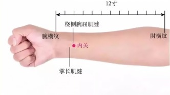 藏在手腕上的“降压开关”，快来找找