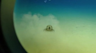 我國科學家繪出首個海洋最深生態系統圖