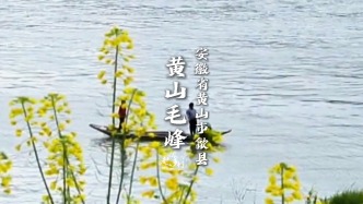 探訪中國傳統村落安徽蜈蚣嶺村高山茶園，細嗅春天的第一縷茶香！