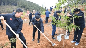 從古代“插柳”到現代植樹節：綠意的千年傳承