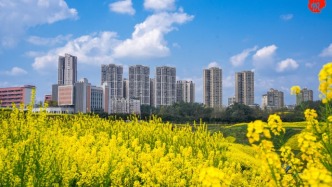 解鎖潼南賞花地圖：東升大橋橋頭油菜花田，小眾賞花地，大美不言