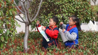 河南寶豐：校園別樣植樹節(jié) 綠色文明我先行