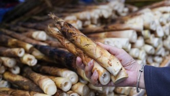 大量上市！肇慶春季限定美食，你嘗鮮了沒？