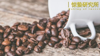 2025，咖啡賽道有點“苦”