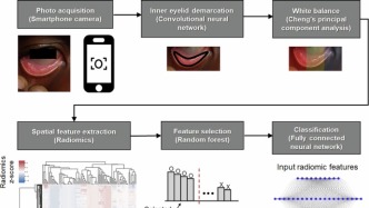 npj Digital Medicine | 智能手機+AI：無創瘧疾篩查新突破！