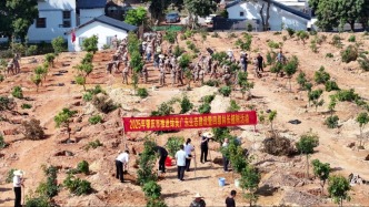 最近，很多肇庆人都在做这件事……